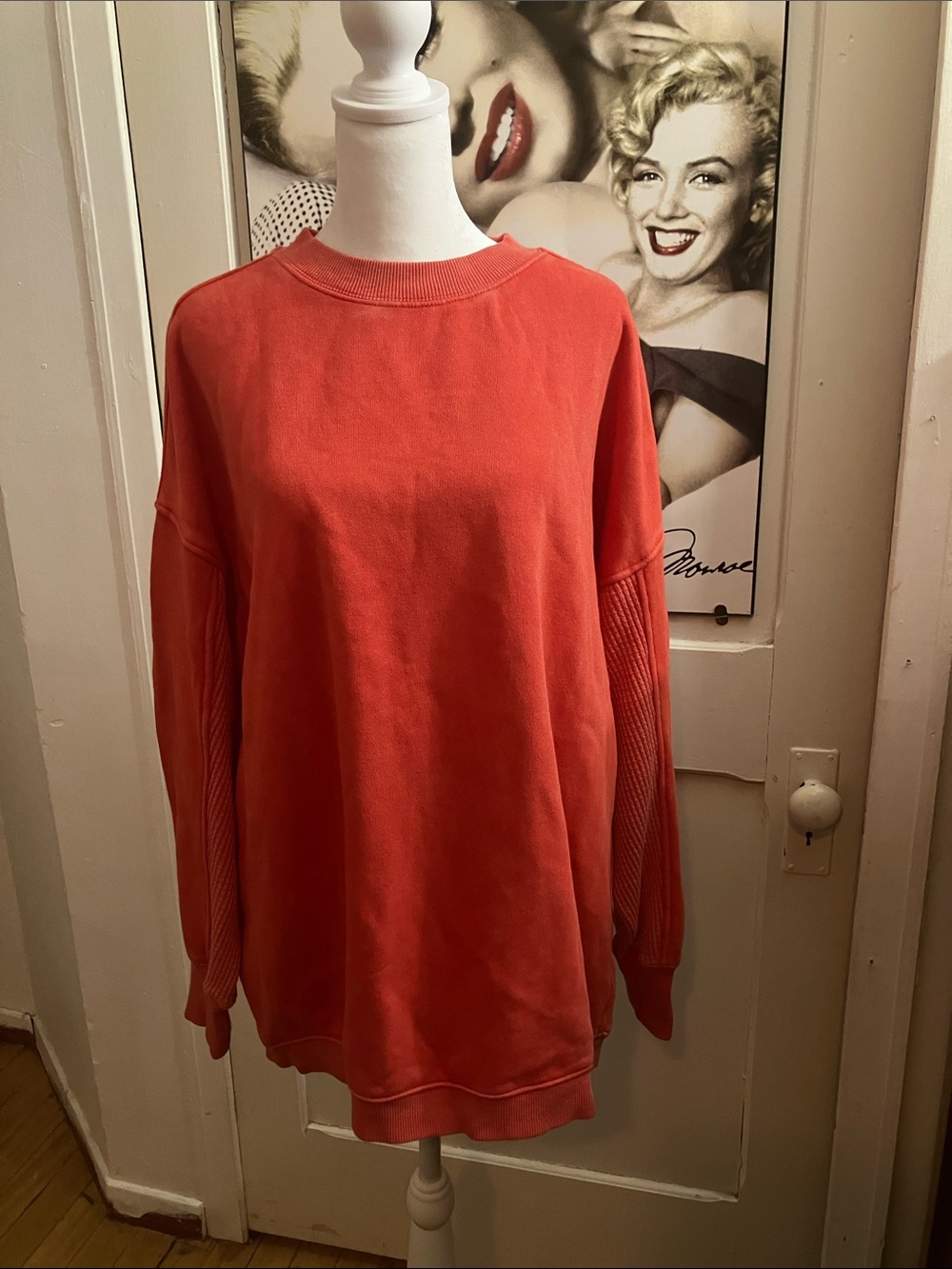 aerie Coral Crewneck Pullover Sweatshirt